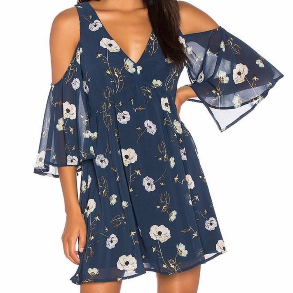 BB Dakota chiffon dress!